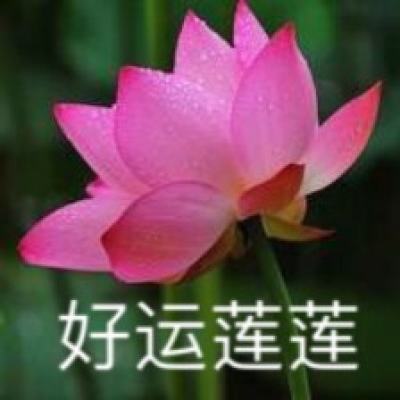 口袋联盟加强版bt公益服下载